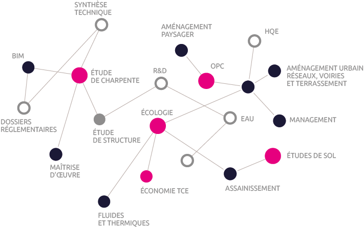 constellation-expertises-mots_Groupe_Novam