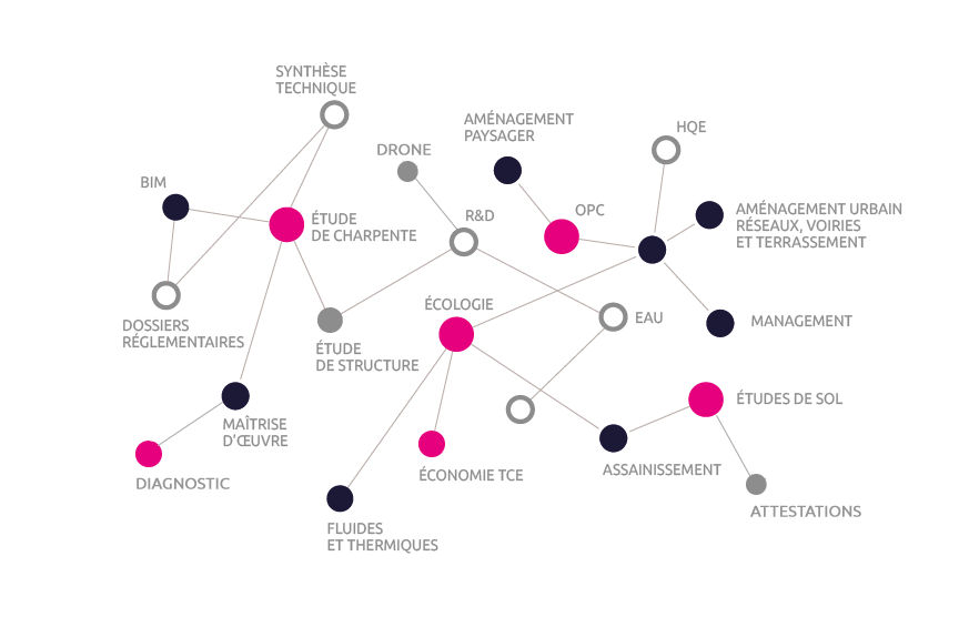 constellation-expertises-mots MAJ0925